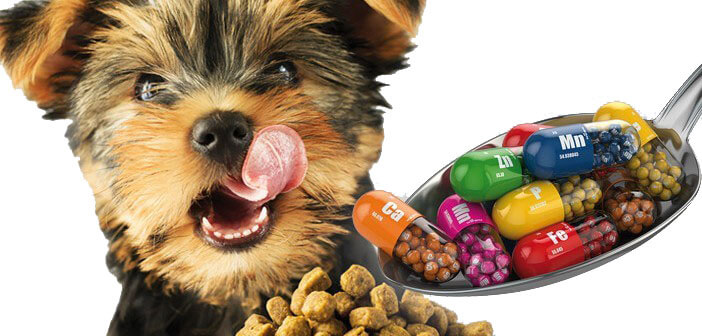 Farmaco Cane